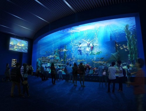 Aquarium vivant de Daegu