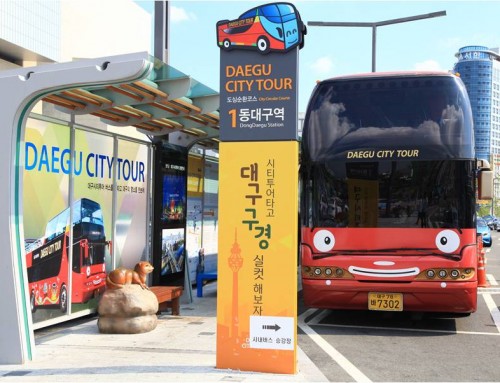 Excursão pela cidade de Daegu