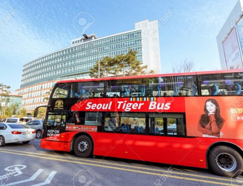 Tur Kota Seoul Bus Harimau